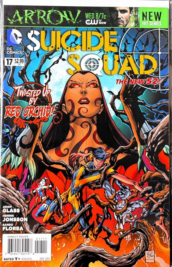 Suicide Squad #17 (2013) DC cover