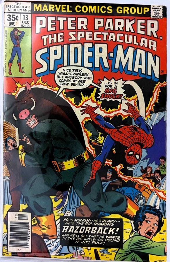 Peter Parker: The Spectacular Spider-Man #13