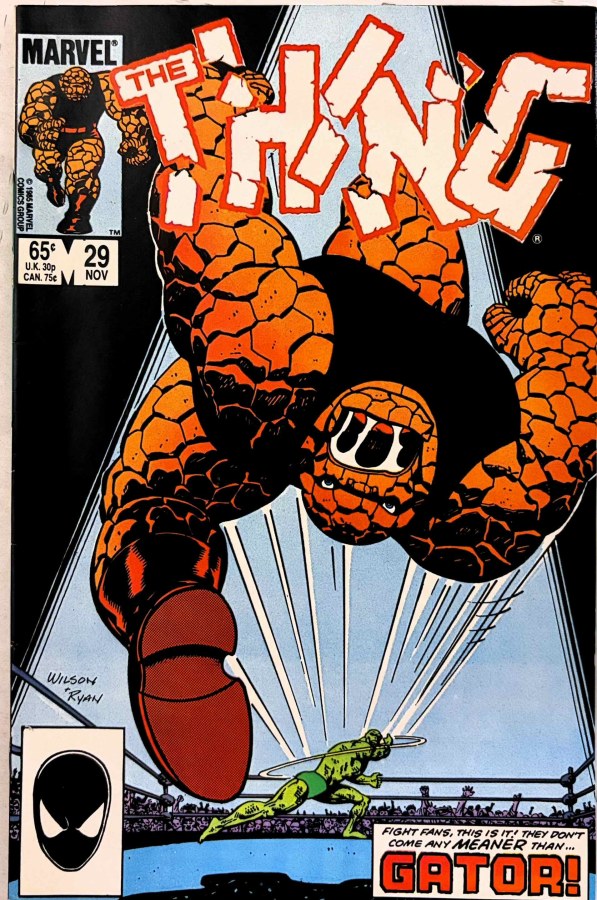 The Thing #29