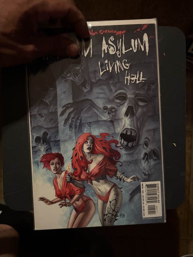 Arkham Asylum: Living Hell #5 (2003) DC Comics NM cover