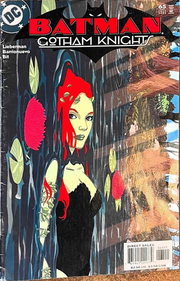 Batman: Gotham Knights #65 cover