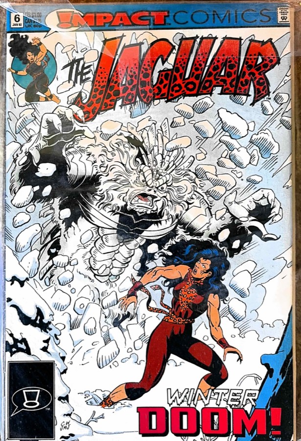The Jaguar #6 (1992) Impact Comics cover