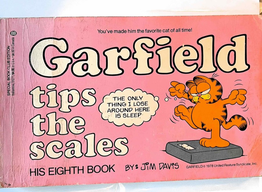 Garfield #8